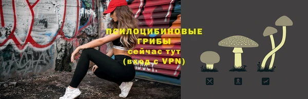 эйфоретик Алексин