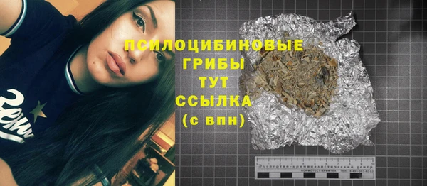 PSILOCYBIN Лихославль