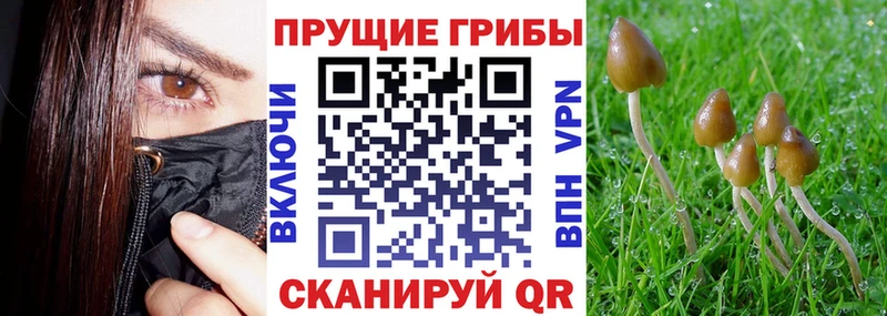 купить наркоту  Волжский  Галлюциногенные грибы мухоморы 